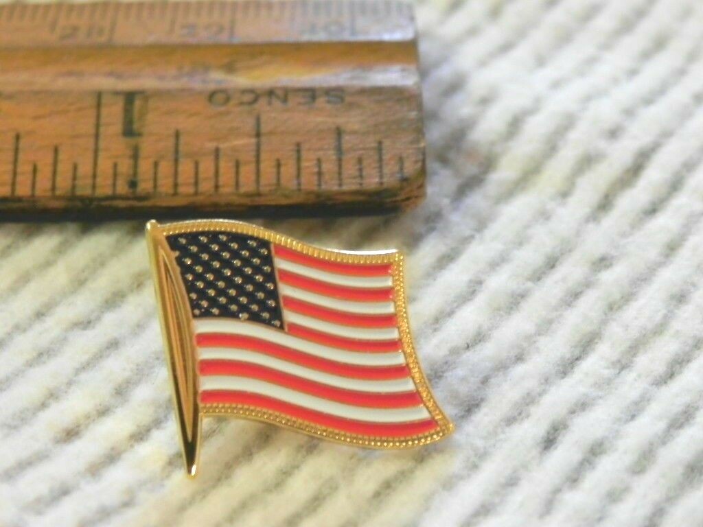 American USA Parade Flags 10 Lapel pins GOLD FRINGE DETAIL TOP QUALITY Flag Pin