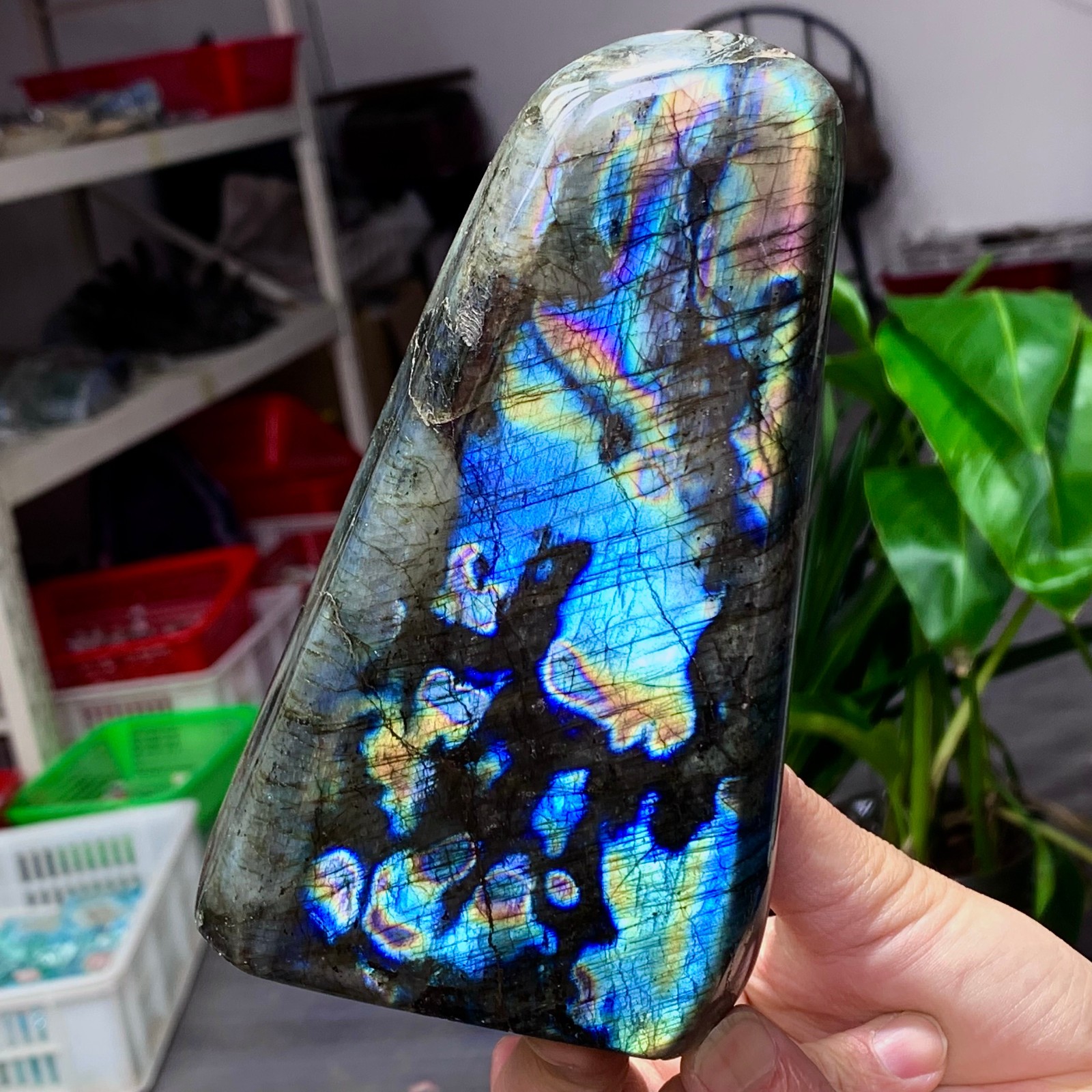 2.72LB Natural Gorgeous Labradorite QuartzCrystal Stone Specimen Healing