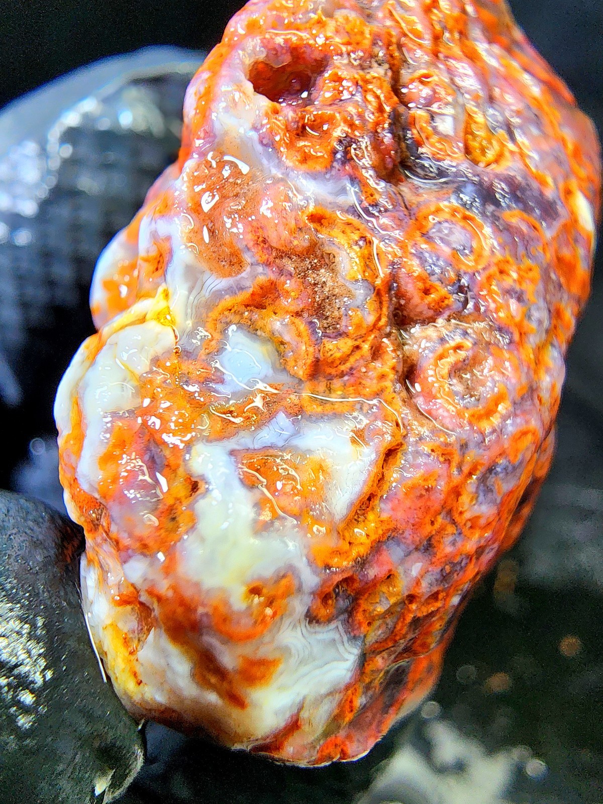 Rare Lake Superior Fragmented Membrane Agate In Blue Chalcedony 1.9oz