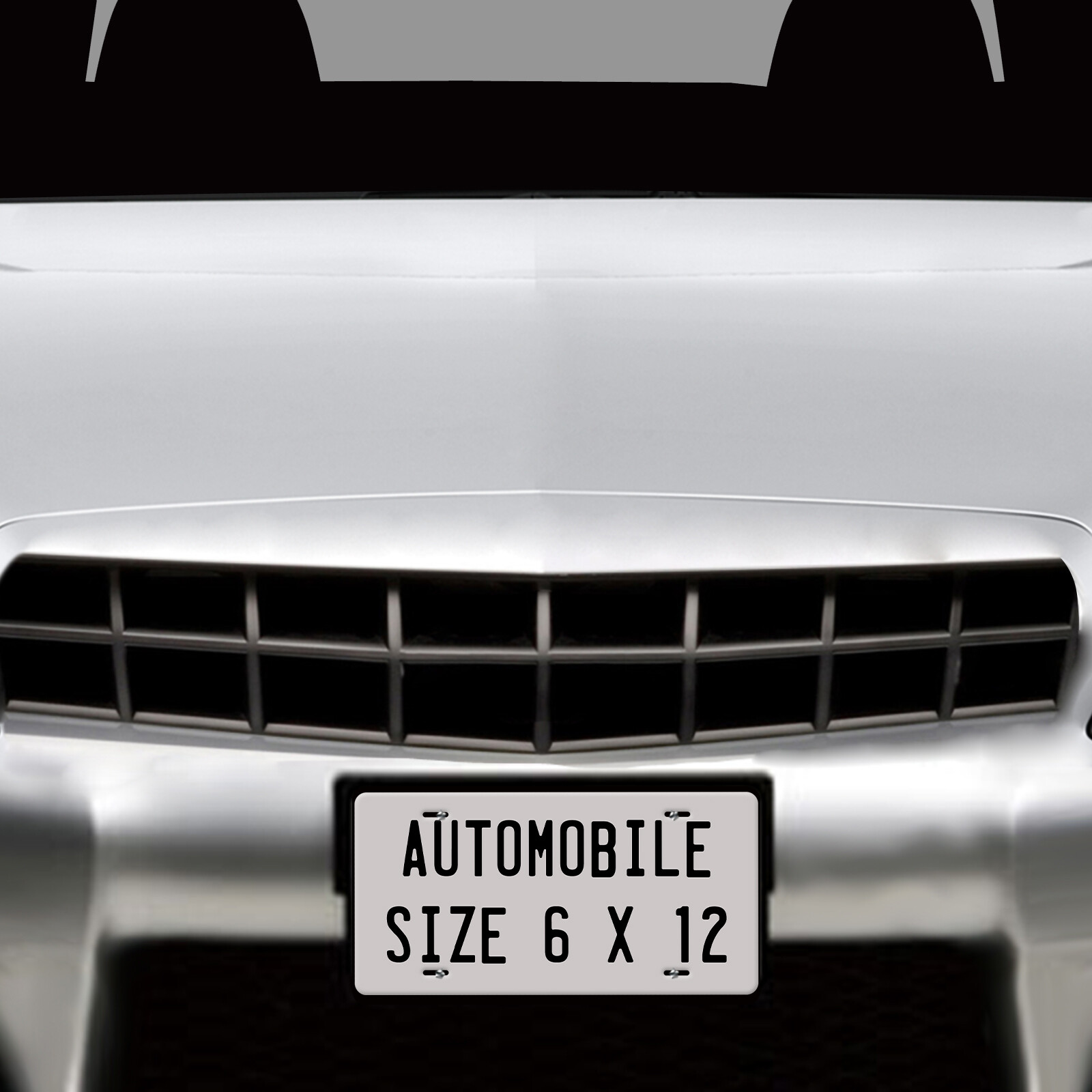 Customized License Plate Tag for Any State Auto Car Bicycle Bike Wall Door Sign