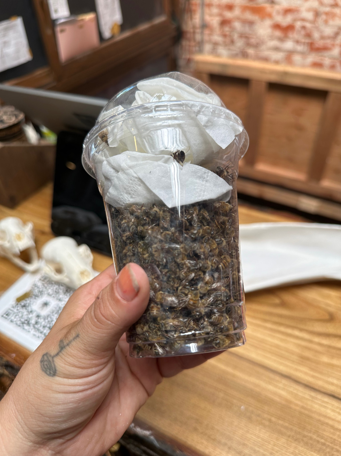 120 REAL Honey Bees SPECIMEN INSECT TAXIDERMY diorama DRIED