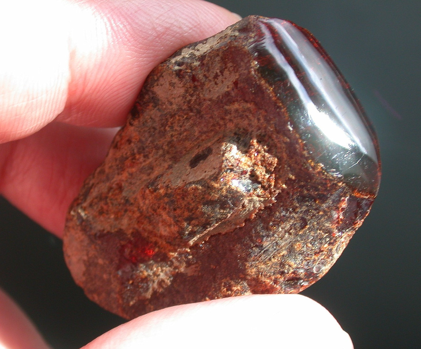 Beautiful GREEN Dominican Amber Fossil Large 9 g from Palo Quemado Mines