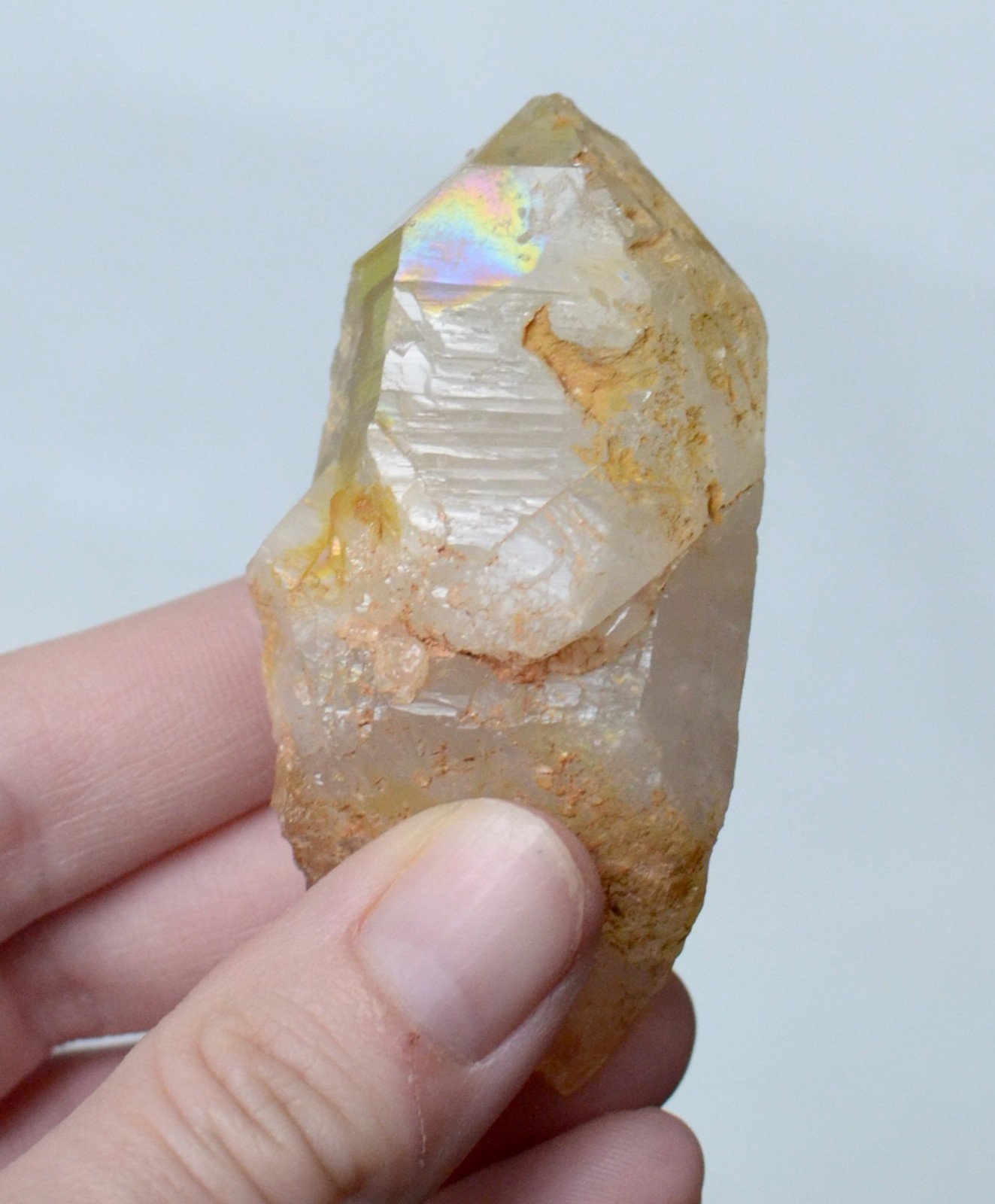 Golden Healer Quartz Crystal Point with Rainbows – Mt. Ida, Arkansas