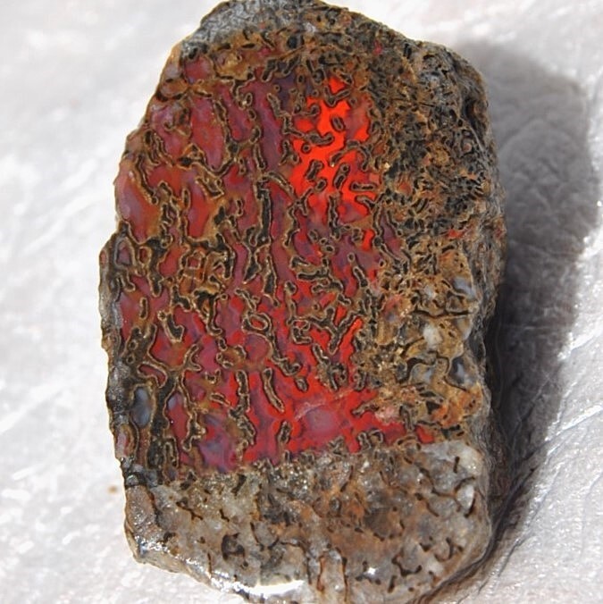 Dinosaur “Rainbow Ruby Dragon” Fossil Healing Lucky Meditation Charm Stone 23gr