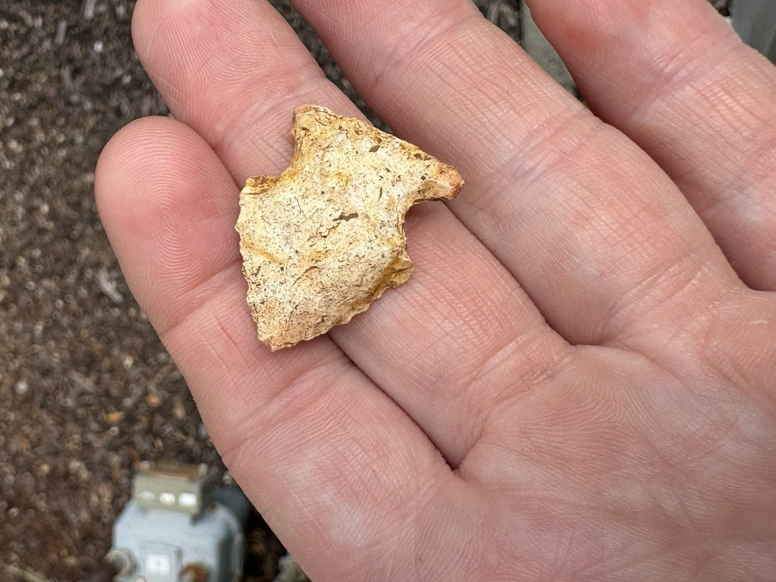 GUARANTEED Authentic Ancient AL Indian Beveled Artifact- 1 1/8″
