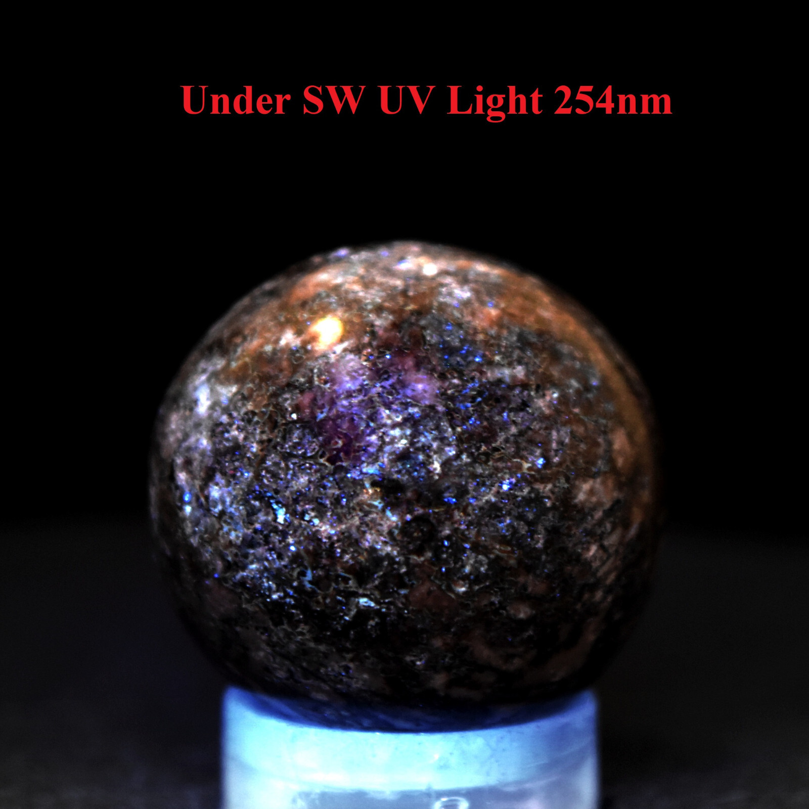21mm Dinosaur Fossil Bone Sphere Natural UV Reactive Fossilized Mineral Madagasc