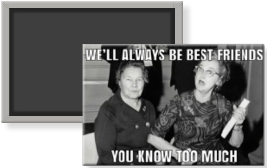 We’ll Always Be Best Friends You Know Too Much Besties BFFs Fridge Magnet 2 x 3