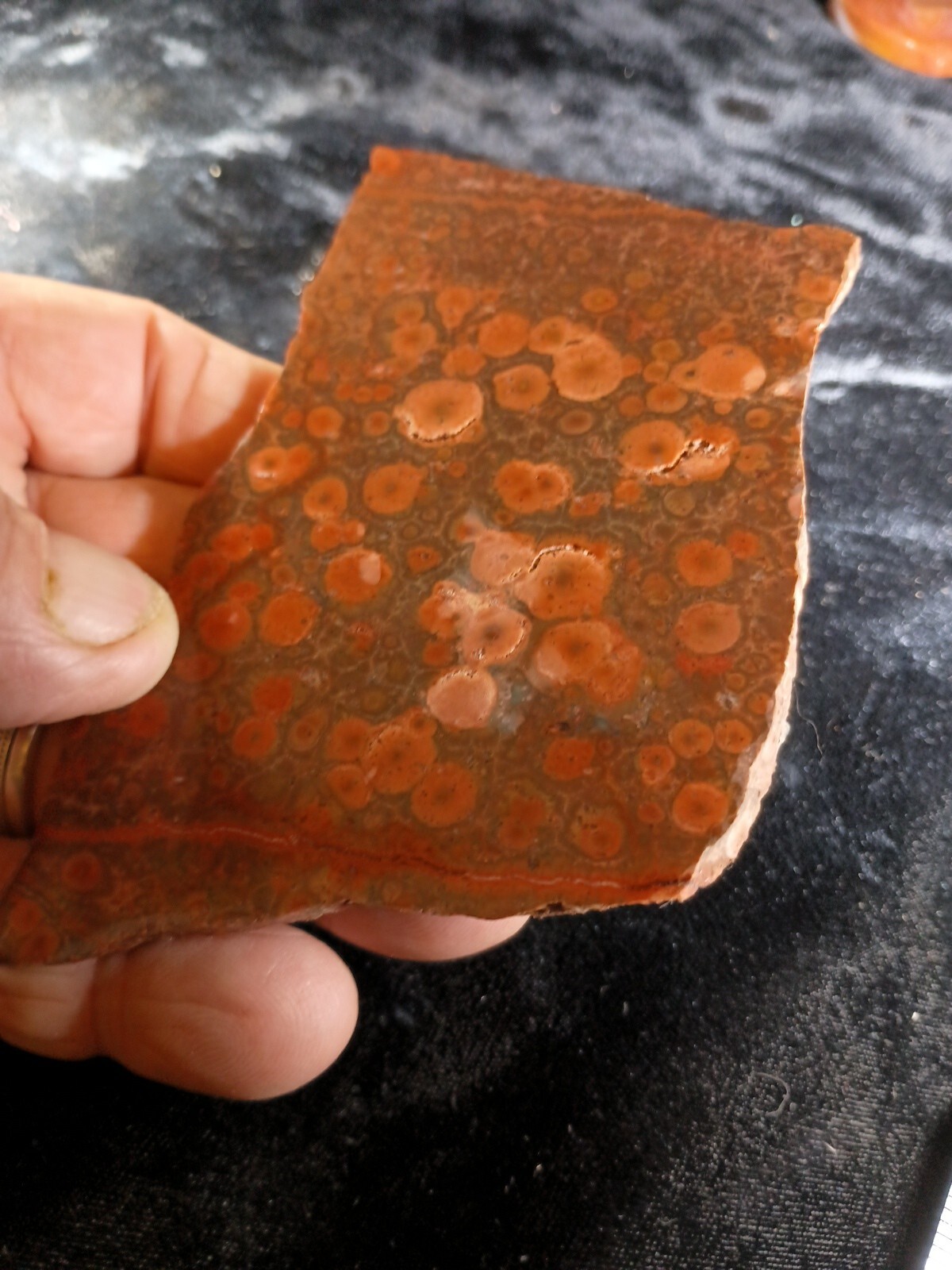 Mexican Peanut Obsidian Slab 97 grams
