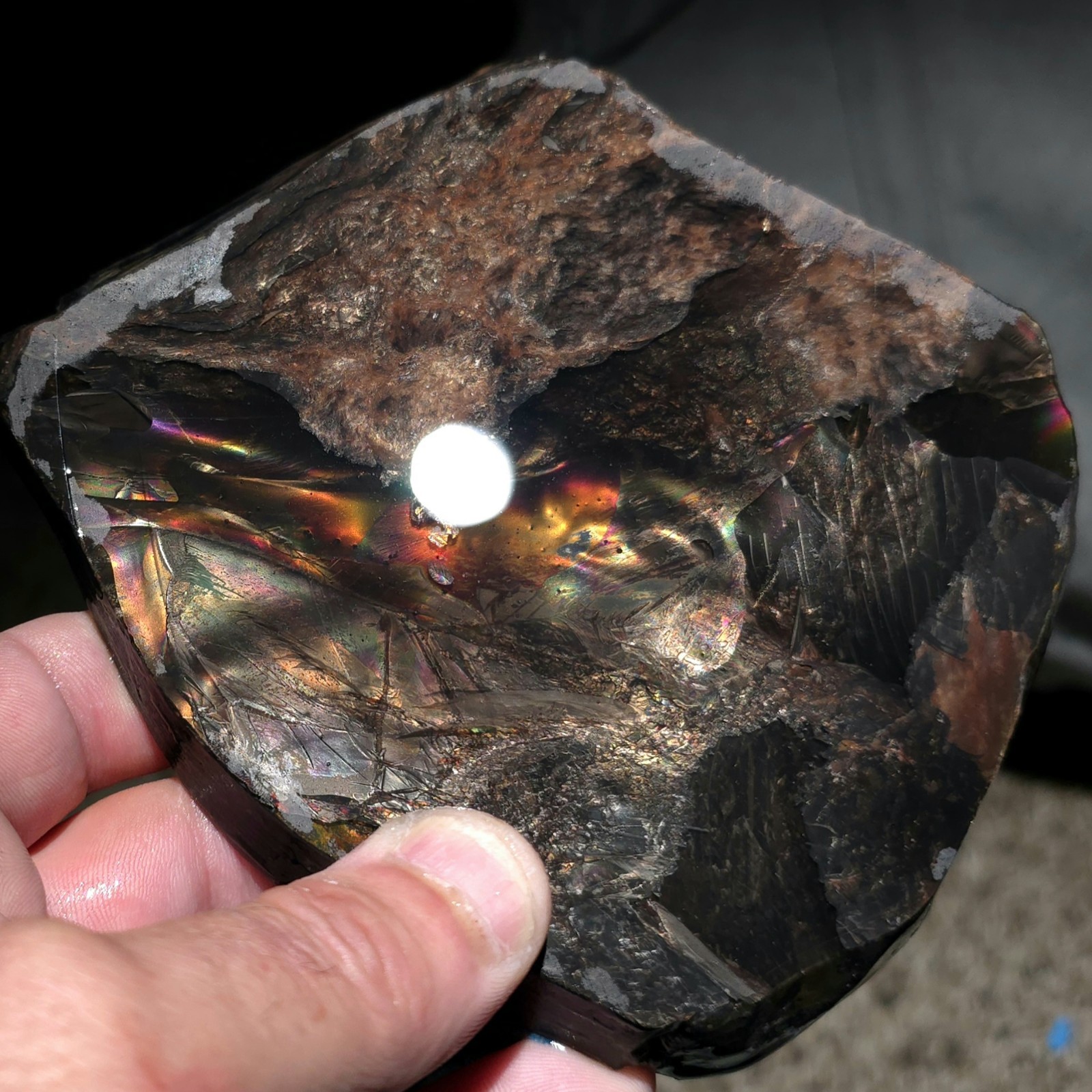 Fire Obsidian – High Grade Lapidary Slab – Glass Buttes OR – Iridescent