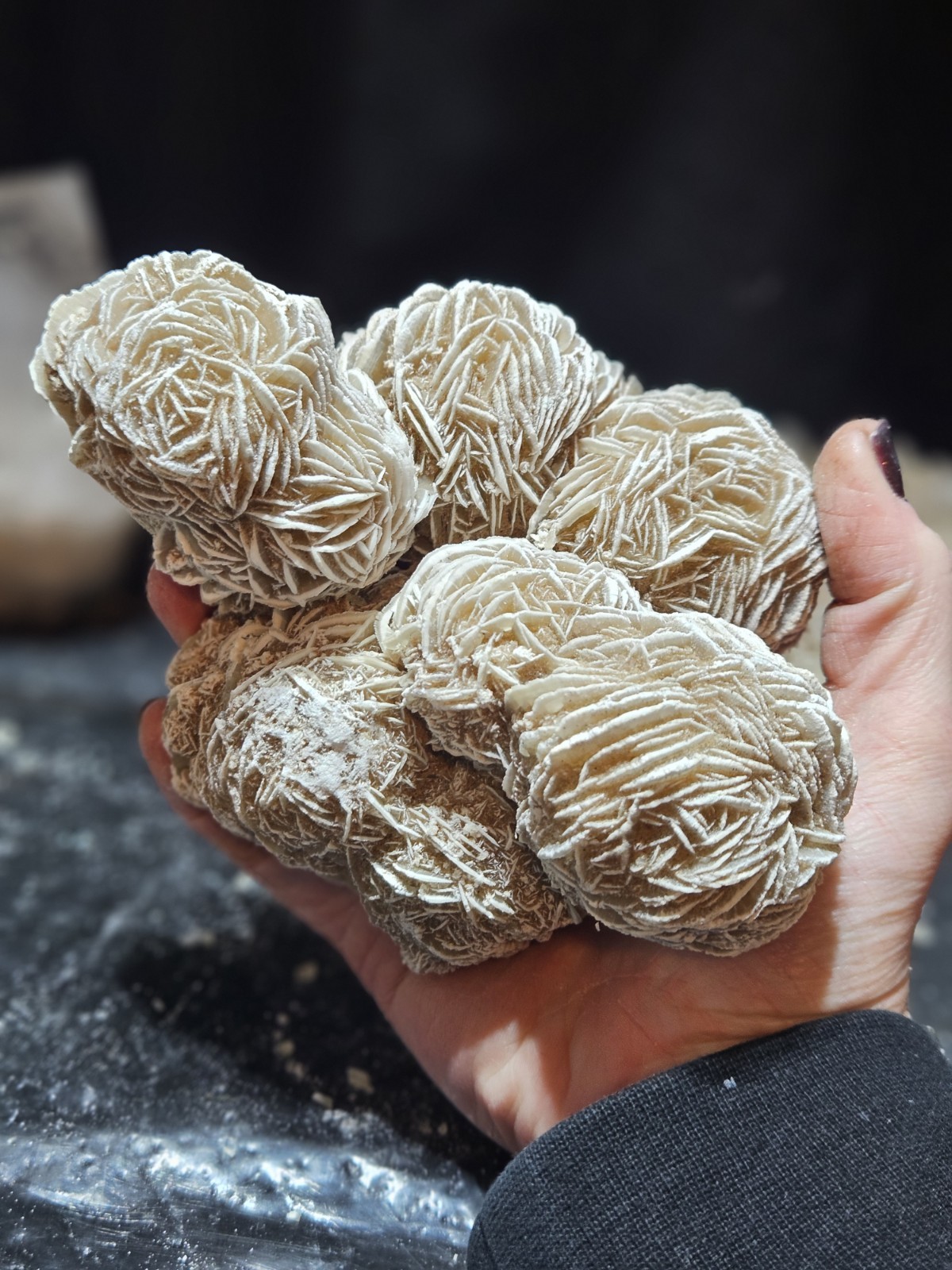 Selenite Desert Rose Specimen Natural Form (2lbs 1oz) #6