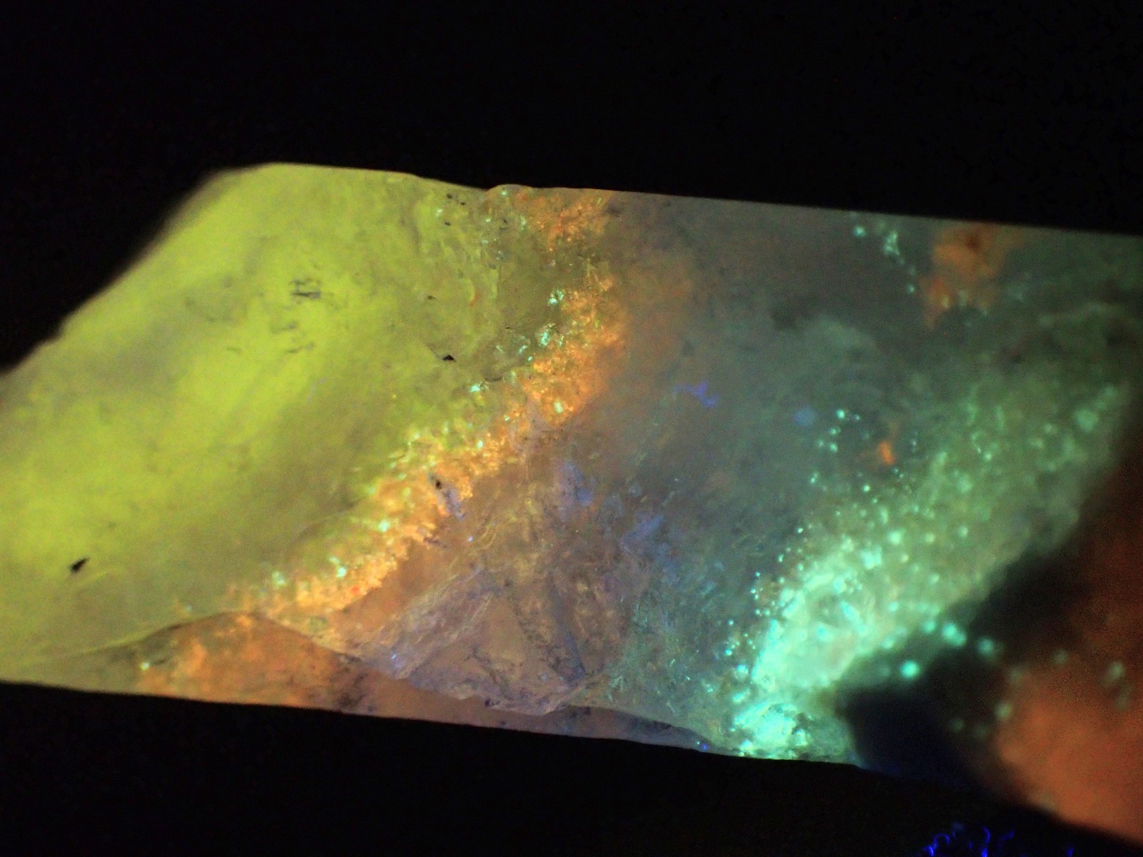 Beautifully fluorescent Hokkaidoite and opals containing organic minerals B239