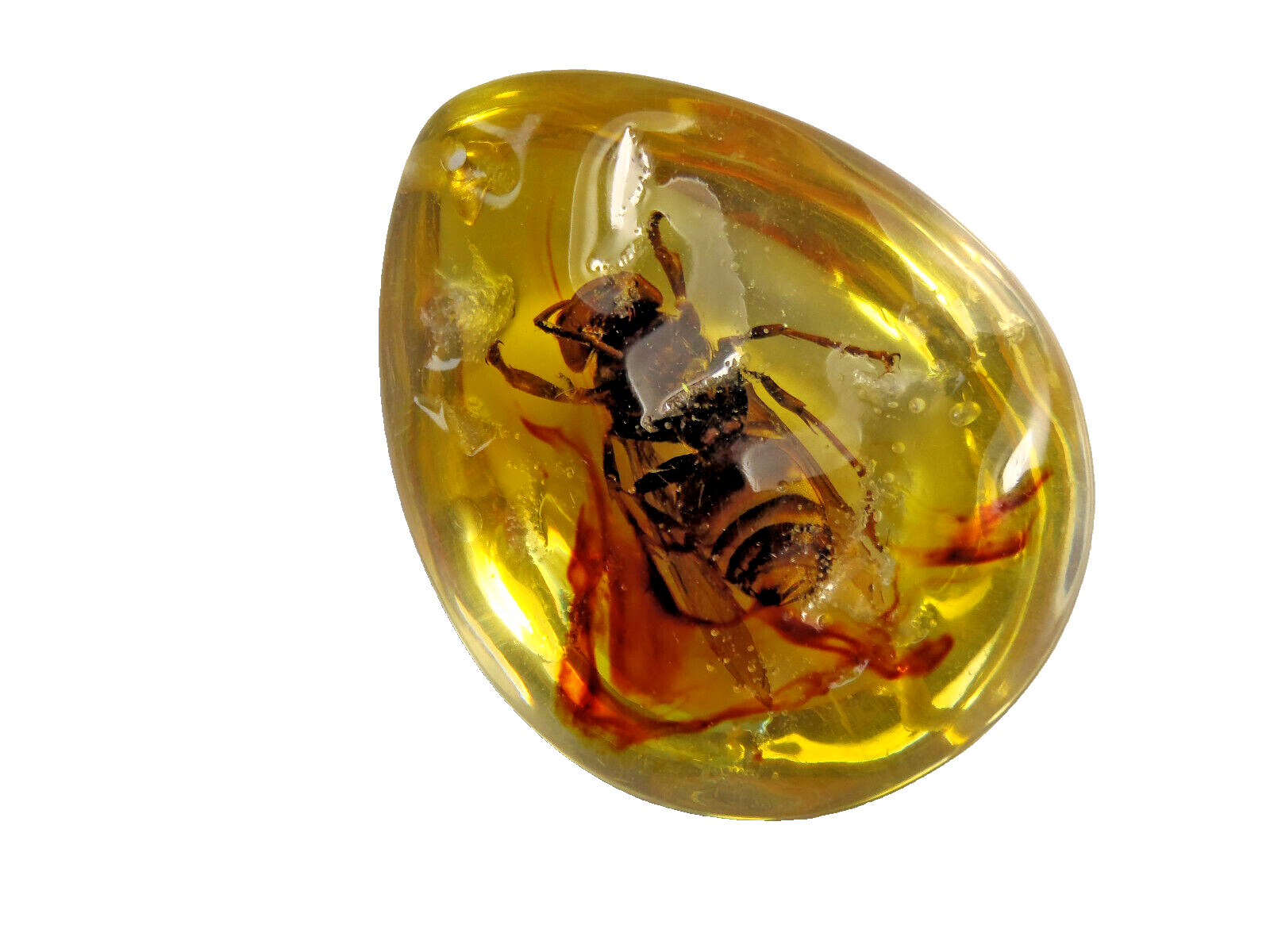 Beautiful Large Artificial Amber With Real Hornet Fossil Insects