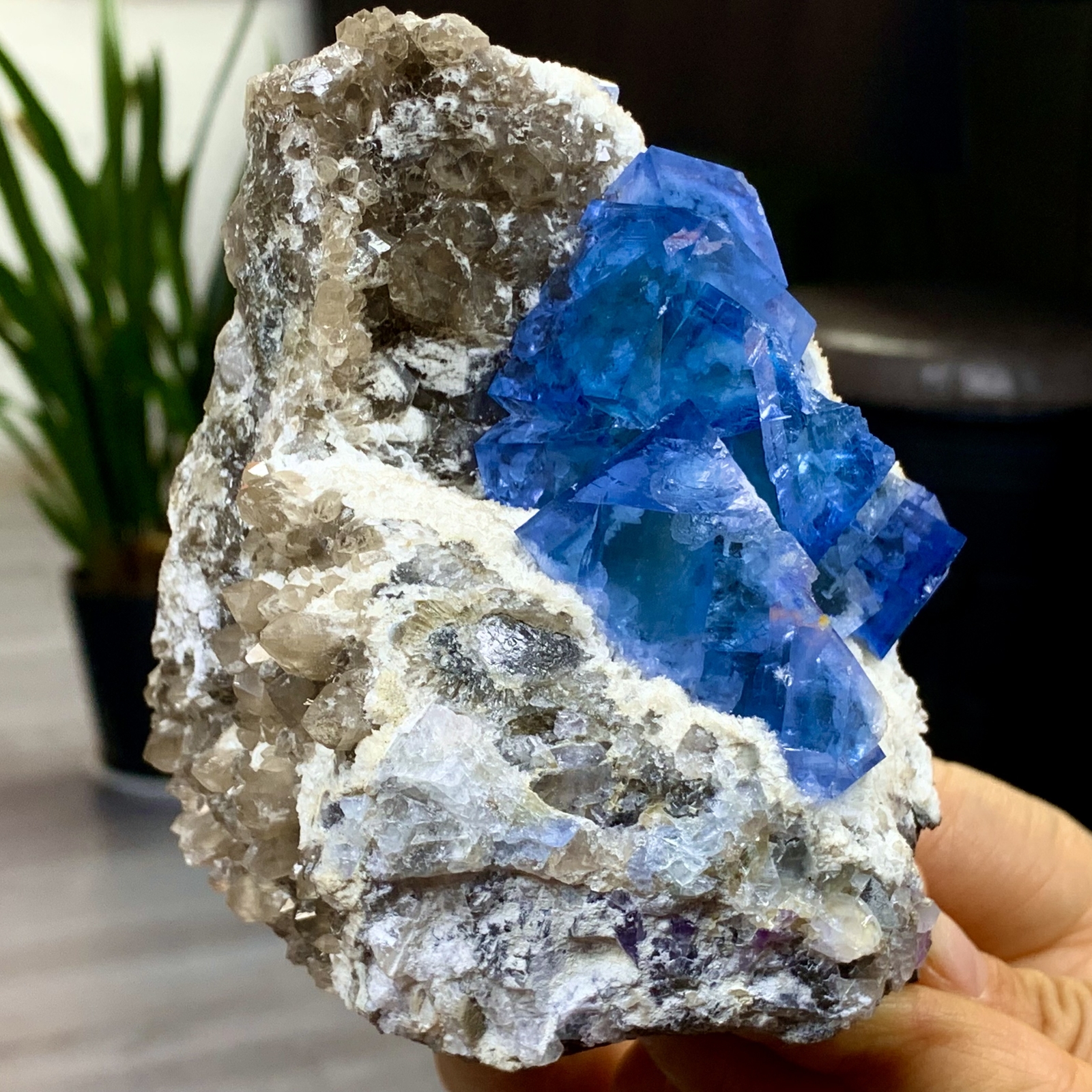 2.25LB Rare blue cubic fluorite +Citrine mineral crystal sample/China