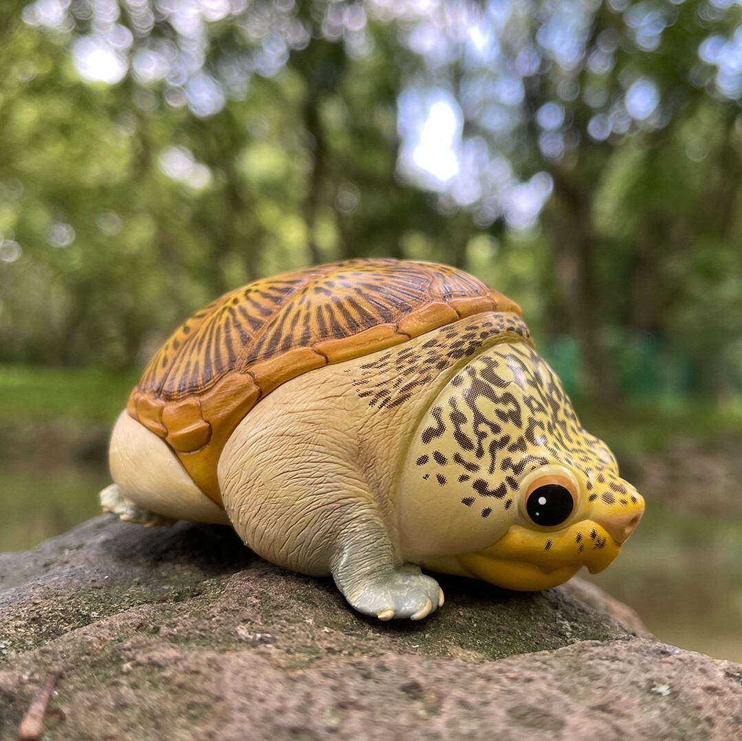 【In-Stock】 Animal Heavenly Body Narrow-Bridged Musk Turtle Claudius Statue
