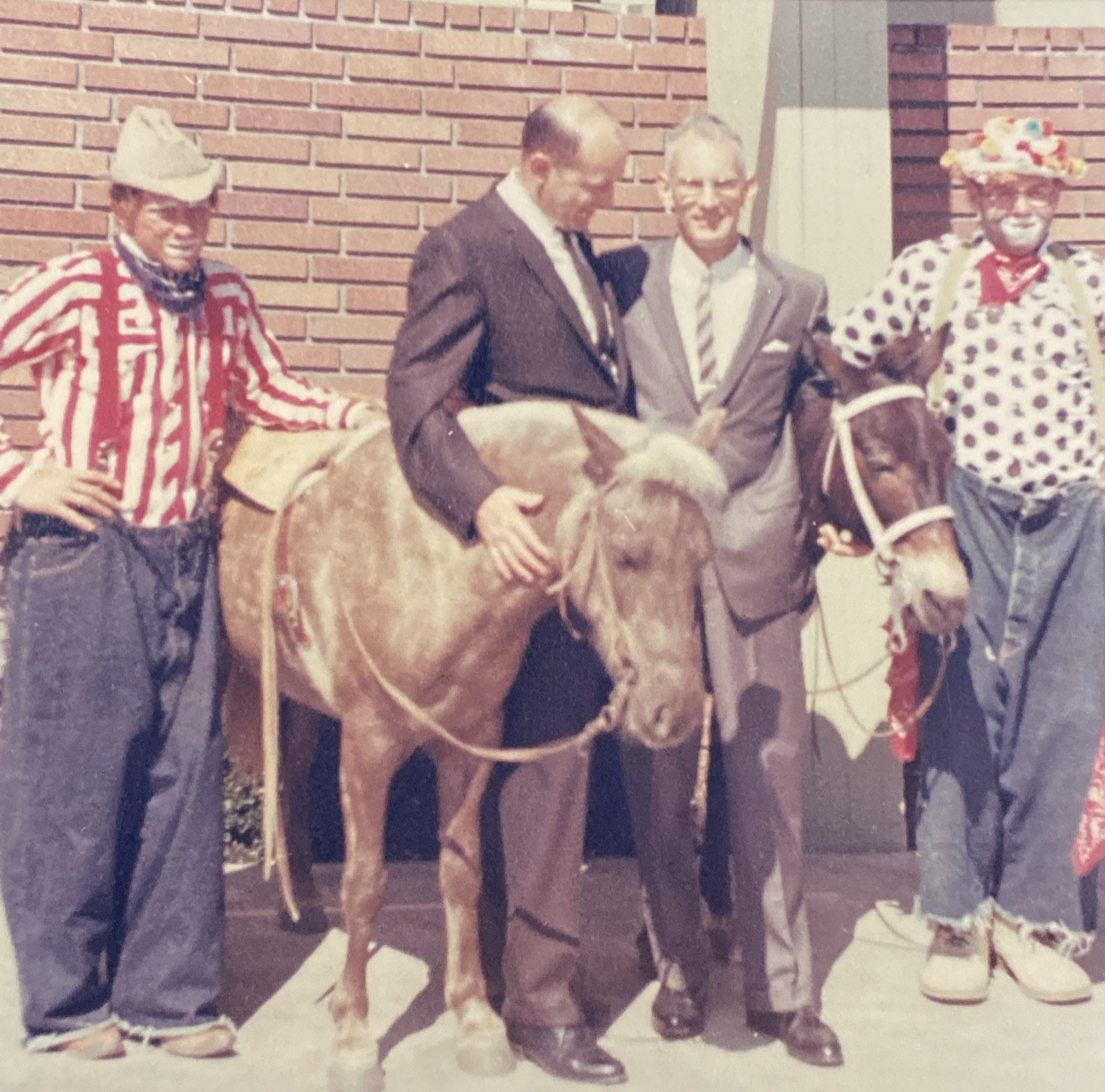 1960s Clowns Men Donkey Pony Animals Performance Circus Original Photo P18p11