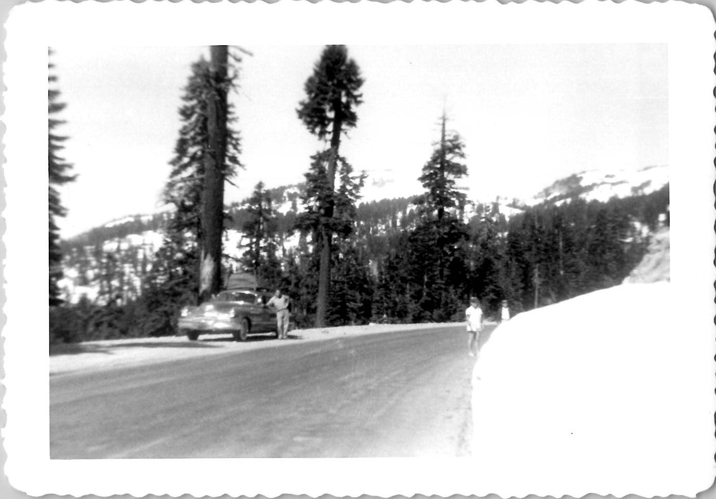 Classic Mercury Car ? Nature Wildlife Outdoors Camping 1940s B&W Antique Photo