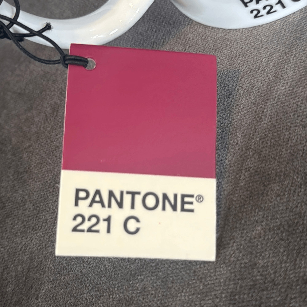 Pantone 221 C Coffee Mug Whitbread Wilkinson Fine China NEW with Tags