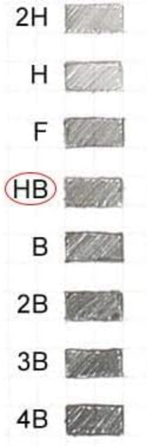 0.9 mm HB Lead Refills – 320 Count with Ergonomic Dispensers for Easy Writing