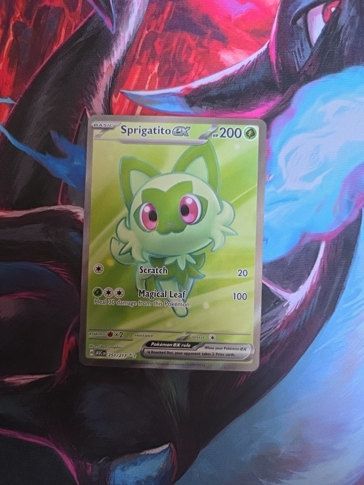 Sprigatito 251/217 Ascended Heroes NM Pokemon TCG