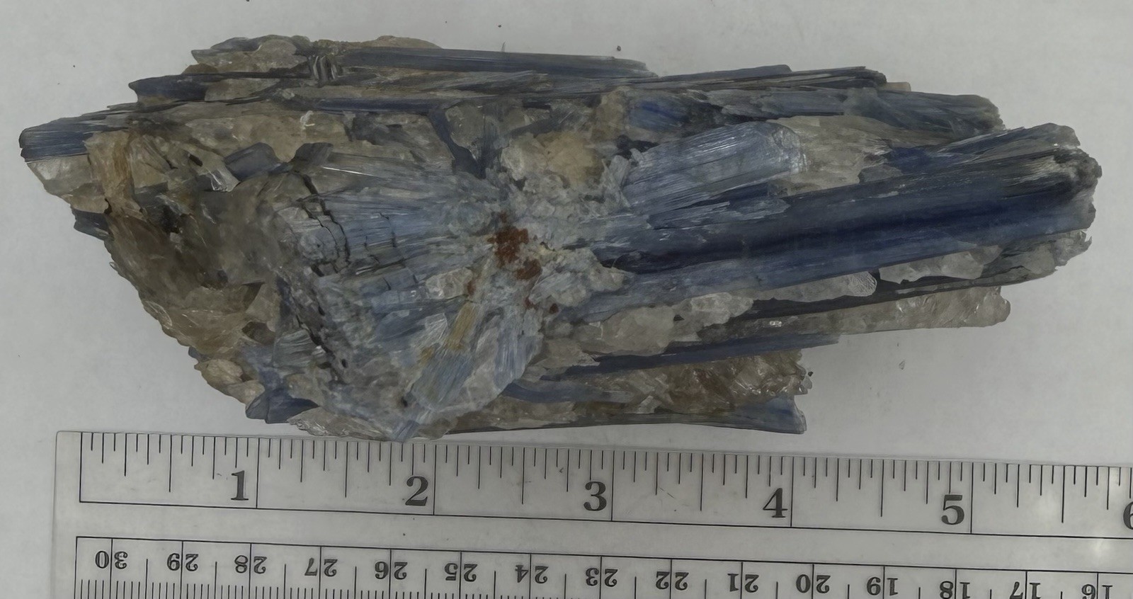 SPECTACULAR 6 INCH DEEP BLUE KYANITE CRYSTALS WITH QUARTZ 435 GRAMS