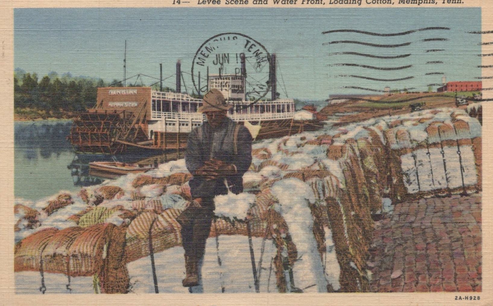 Postcard Levee Scene + Water Front Loading Cotton Memphis TN