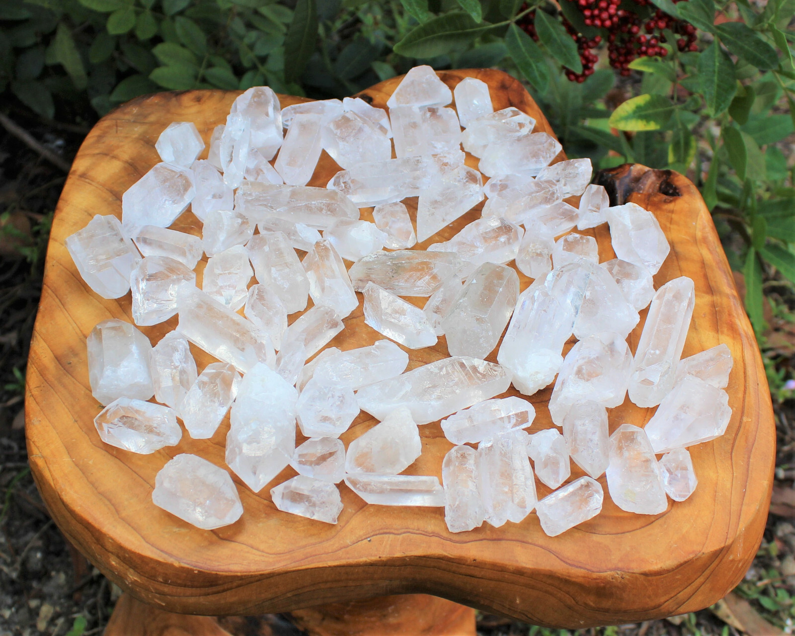 50g Lot Natural Clear Quartz Crystal Points Wand, Healing Crystals (250 Carat)