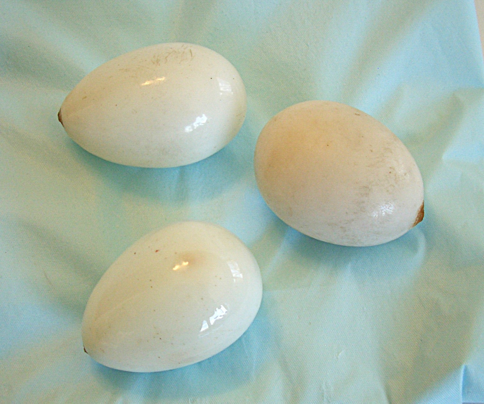 3 Antique Victorian 3″ Milk Glass Eggs Hand Blown Unpainted With Pontils