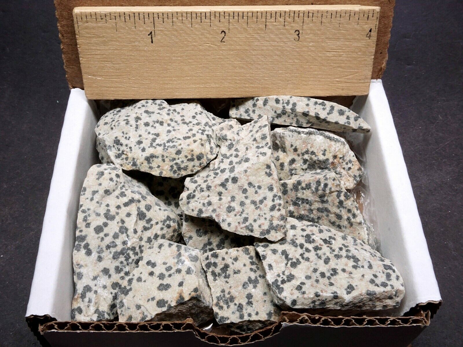 Dalmation Jasper Collection 1/2 LB Natural Black & White Mineral Specimens