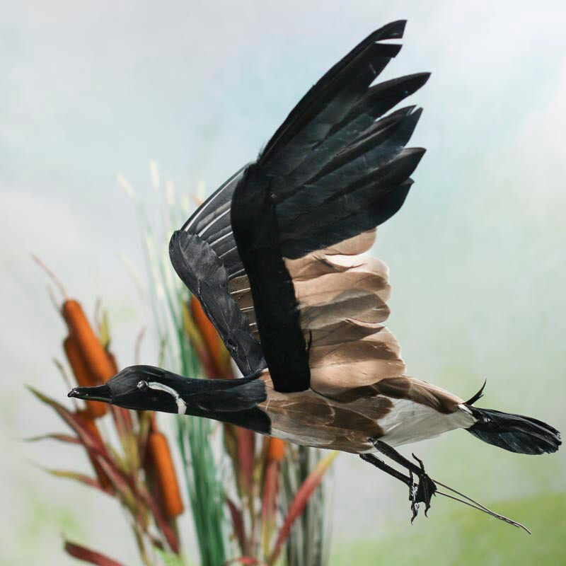 Nature Lovely Feathered Flying Artificial Canadian Goose