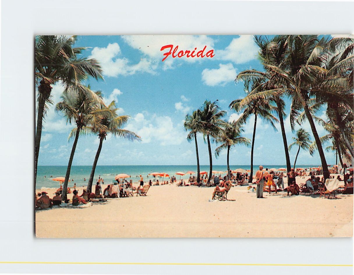Postcard Beach Scene in Florida USA