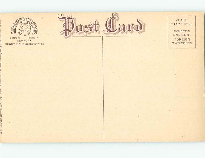 Unused Divided-Back PARK SCENE Omaha Nebraska NE hk8778