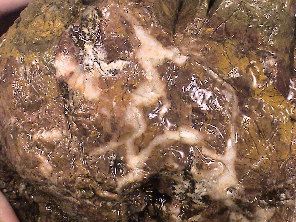 Chalcedony Jasper Lace Agate #R396, Rough Lapidary Mineral Specimen, 6 LBS, 8 OZ