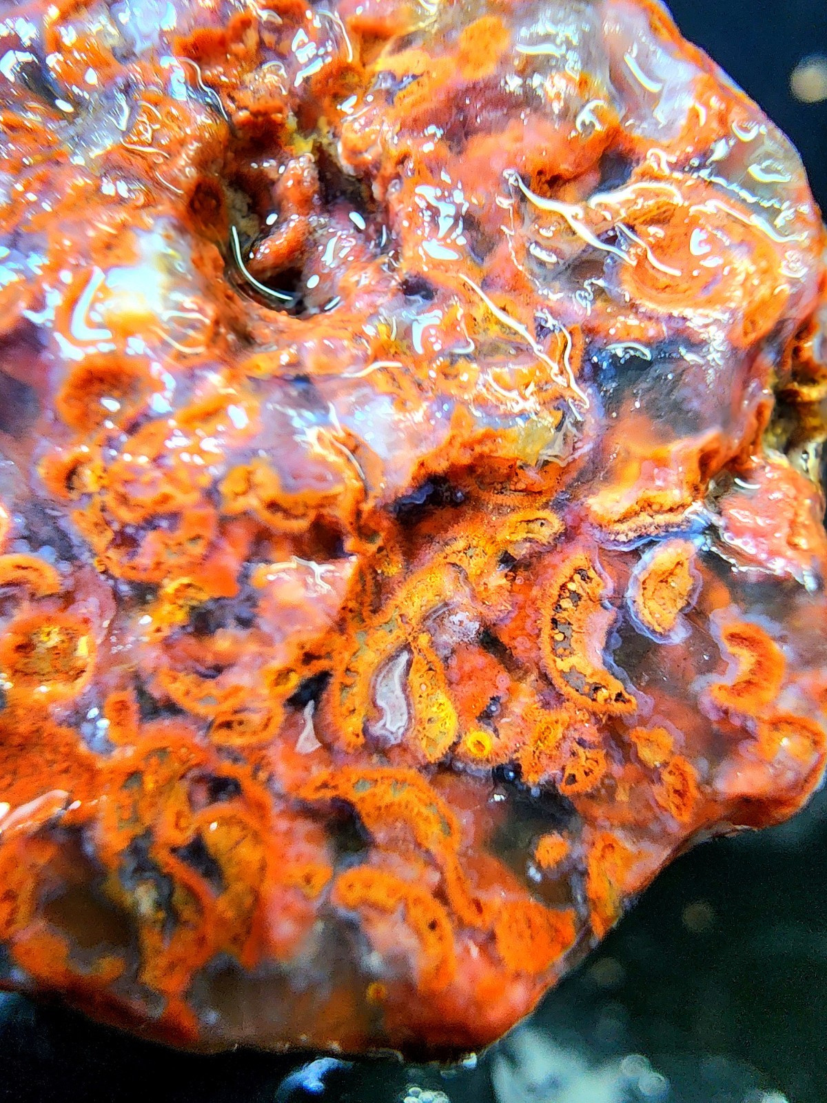 Rare Lake Superior Fragmented Membrane Agate In Blue Chalcedony 1.9oz