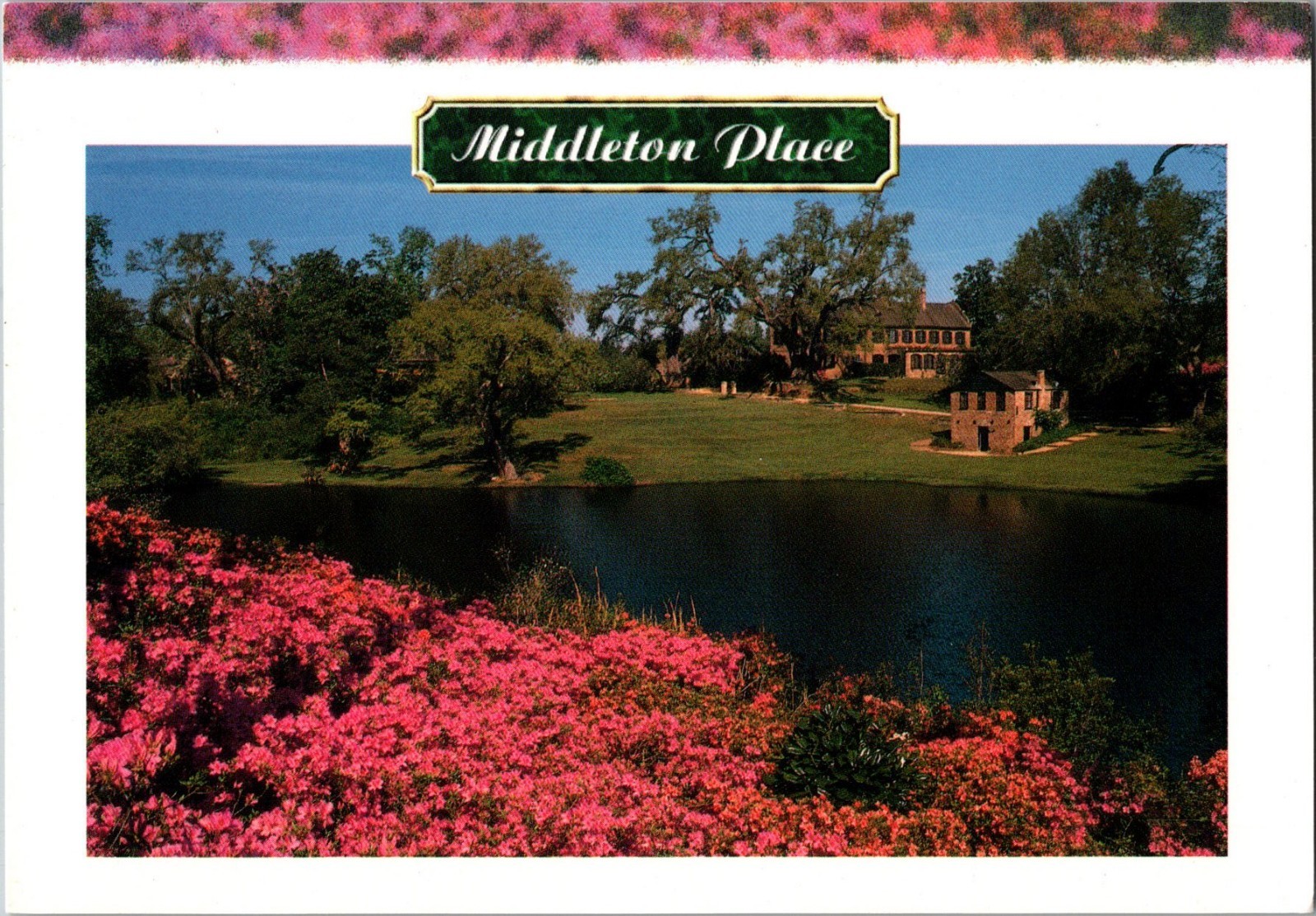 Continental Postcard Middleton Place Charleston, South Carolina CE14