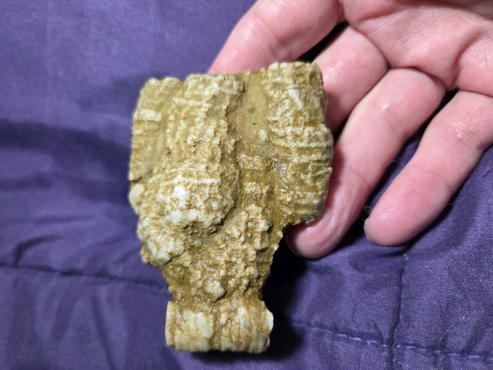 Unusual 4.7 Oz Fossilized Quartz Crinoid Calyx/Arms, 3″x 2.5″ x1″