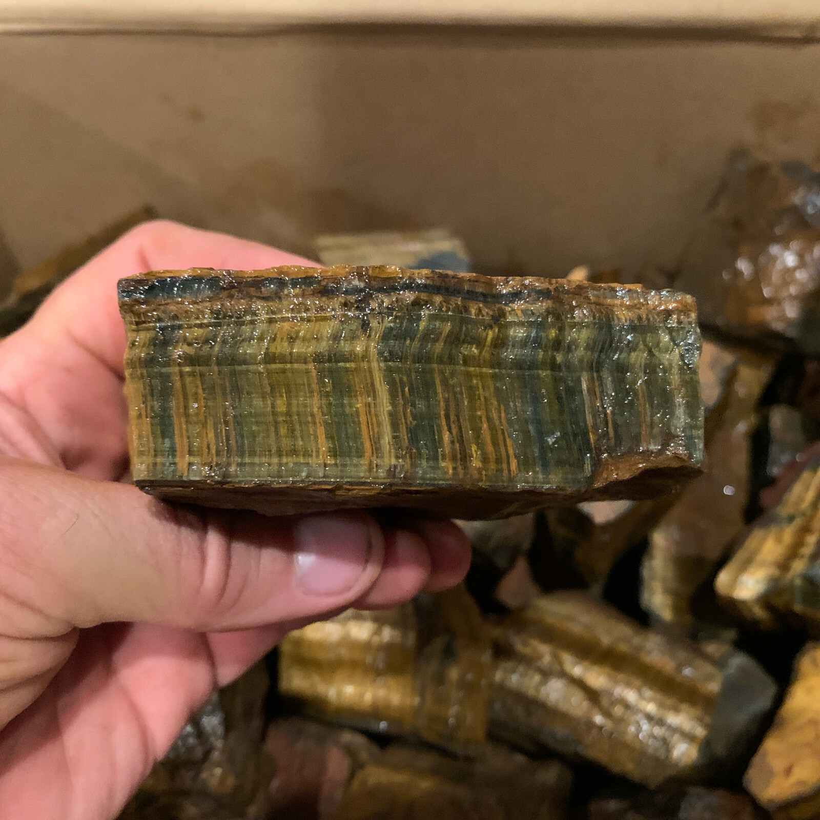 LARGE GOLD/BLUE Tiger Eye Rough – 10,000 Carat Lot + a FREE Faceted Gem (V RARE)