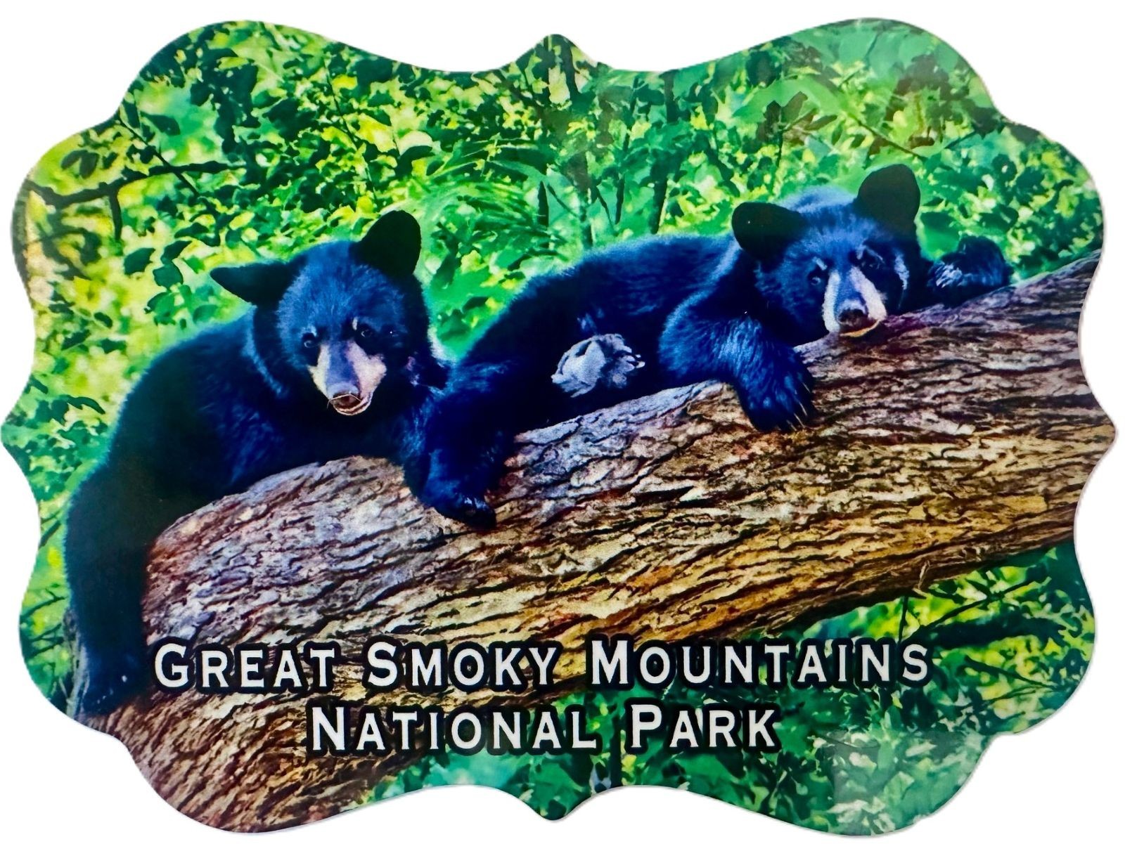 Die Cut Metal Great Smoky Mountains National Park Bears Fridge Magnet
