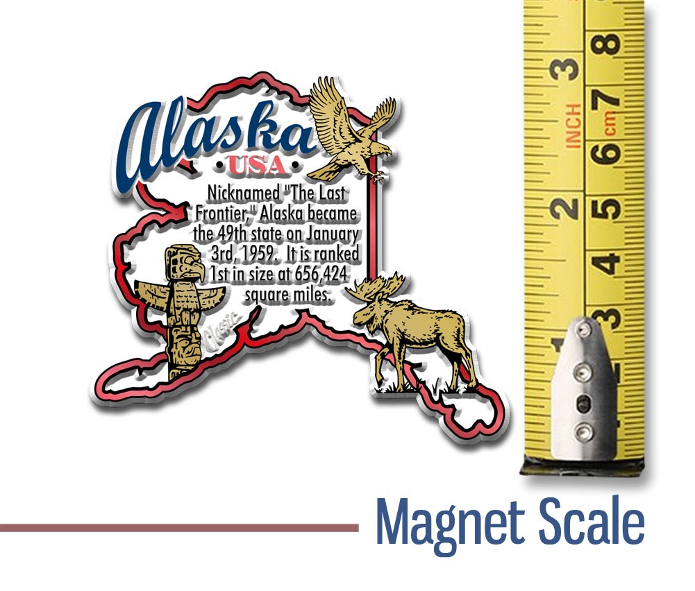Informational U.S. State Magnet Set by Classic Magnets, 51-Piece Set