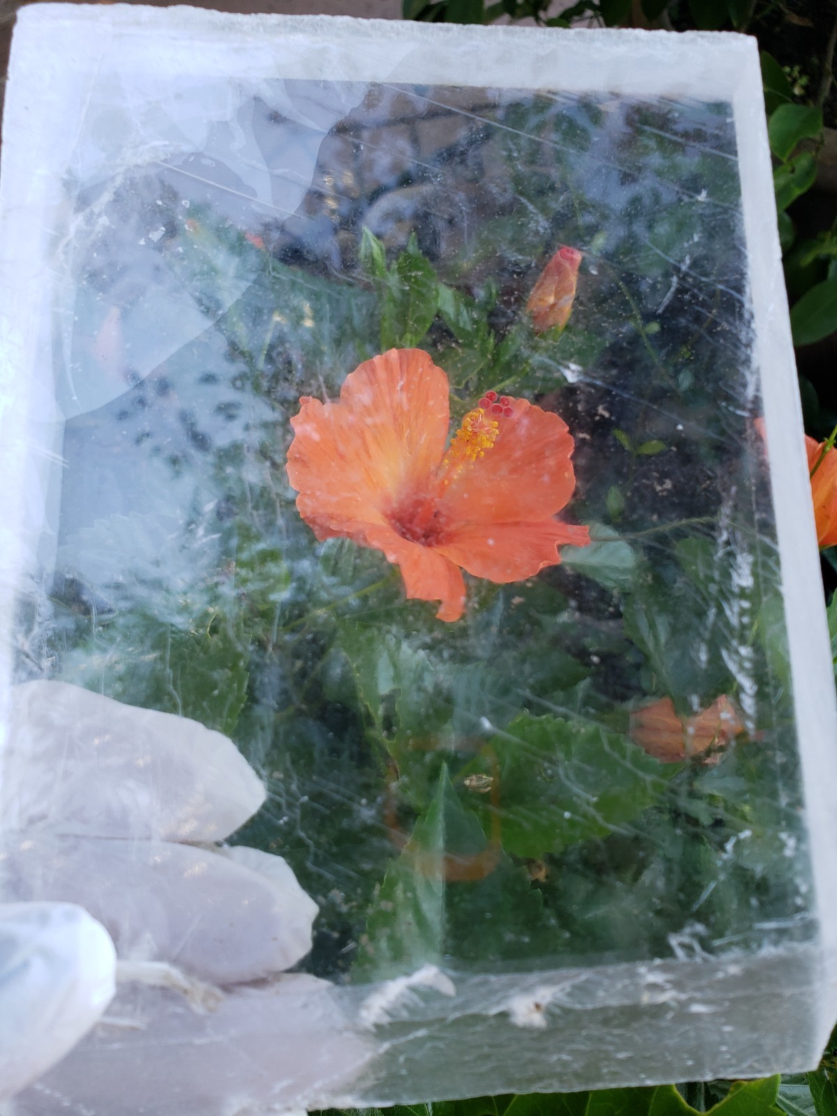 7.25″ HIGH QUALITY Raw Natural Clear Transparent Selenite Slab Slice Plate,1226g