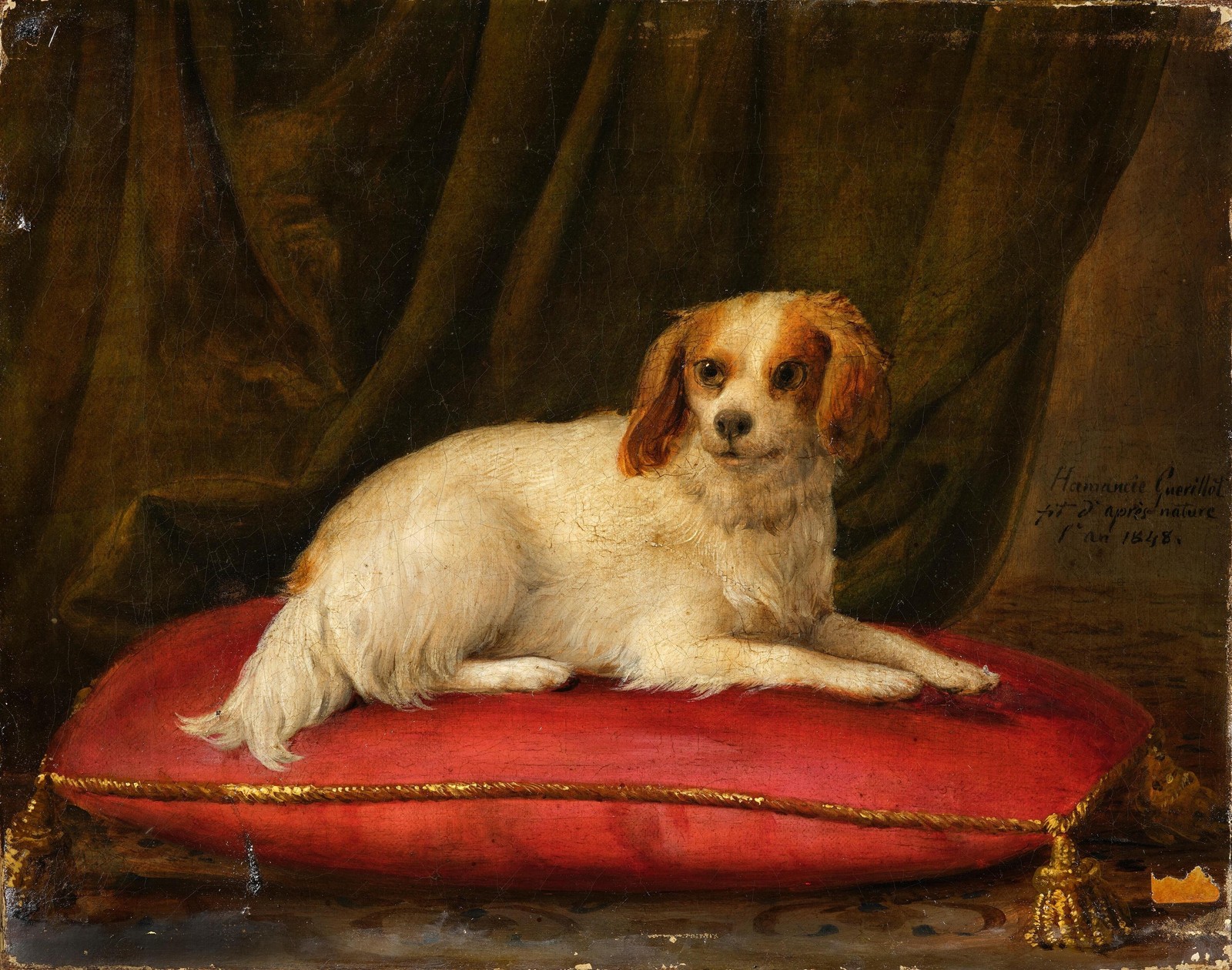 King Charles Spaniel Victorian Vintage Portrait Glossy Photo Reprint Wall Art