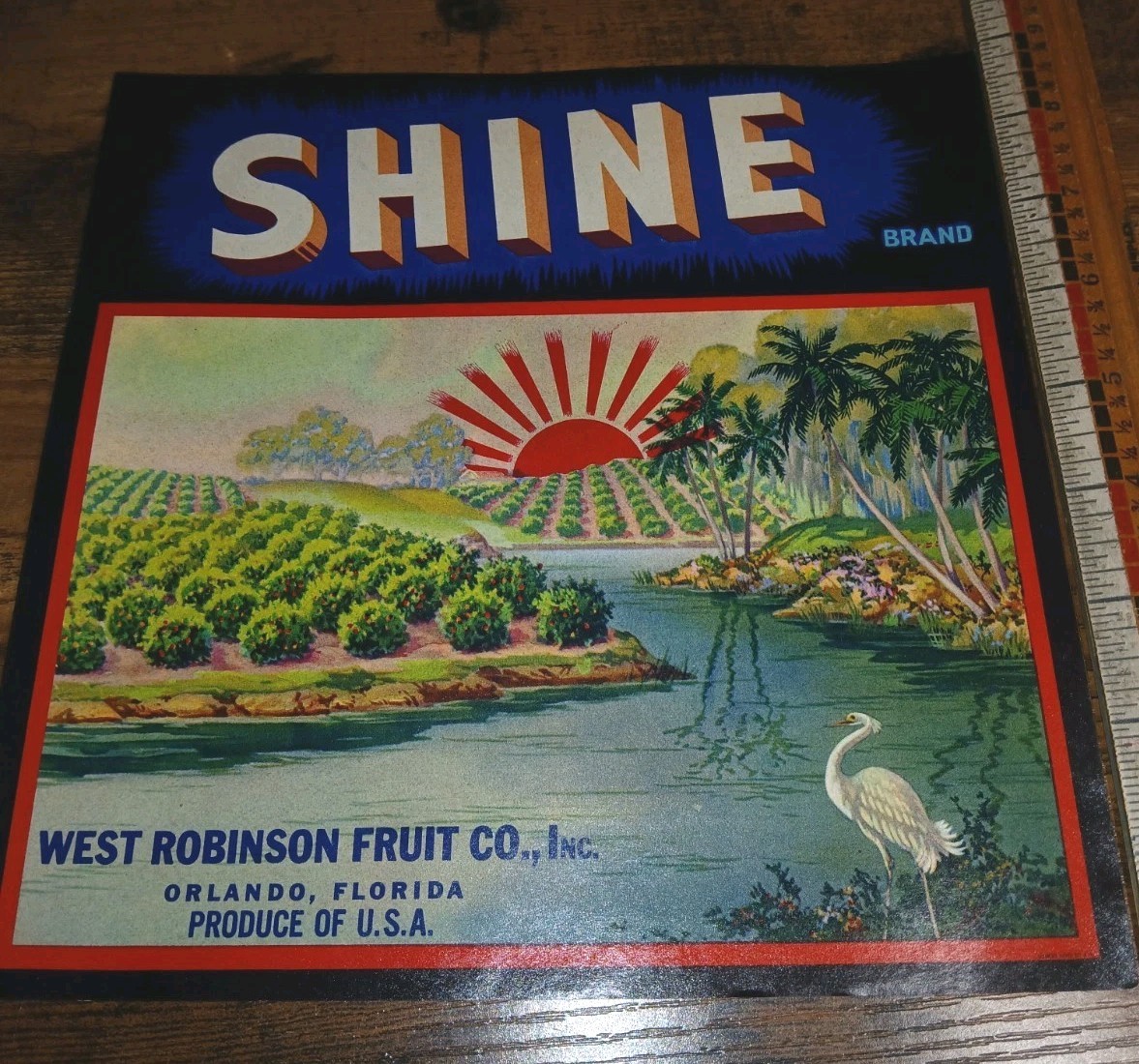 Vintage “Shine” Citrus Crate Label from West Robinson Fruit Co. Orlando, FL. NOS