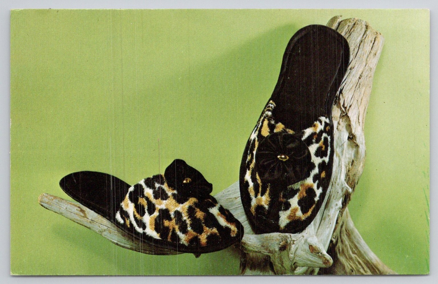 Vintage Leopard Slippers Craft Kit Ad Postcard National Handcraft Institute