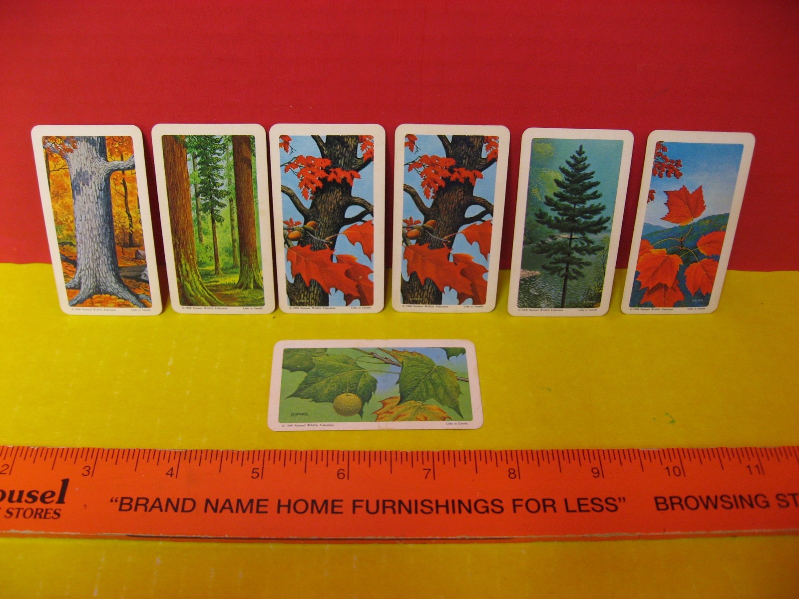 BROOKE BOND TEA CO – BROOKS BOND / RED ROSE TEA CARDS – TREES OF NORTH AMERICA