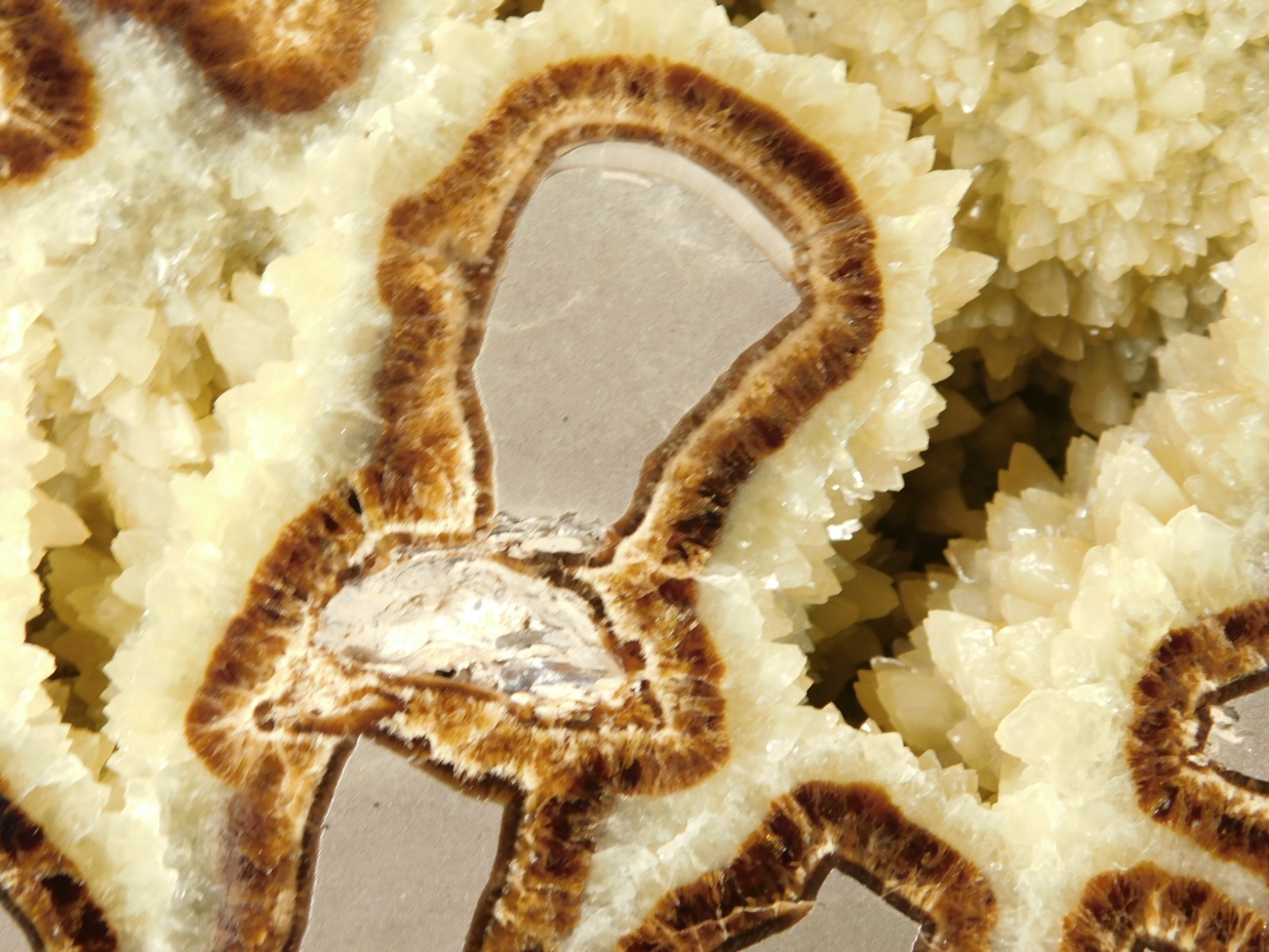 Larger! Polished AAA Crystal Filled Septarian GEODE FREE Standing Utah 852gr