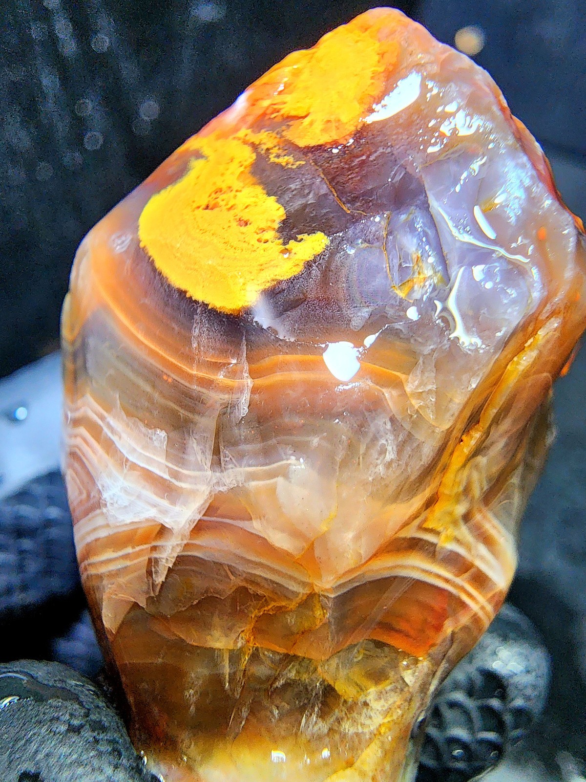Lake Superior Fortification Agate In Tri-Color Chalcedony 1.7oz