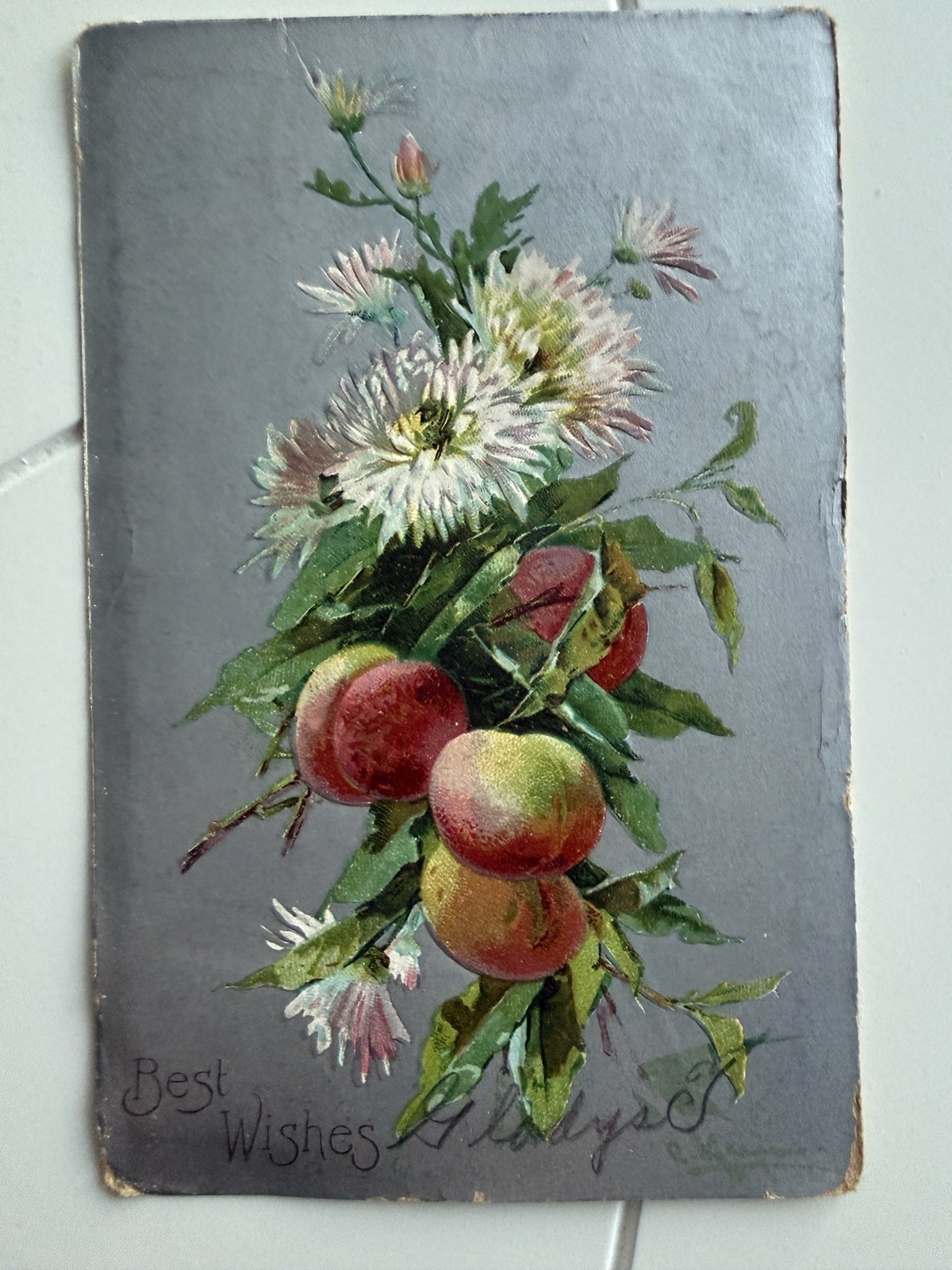 Flowers and Fruit Silver Gilt Floral Antique Postcard