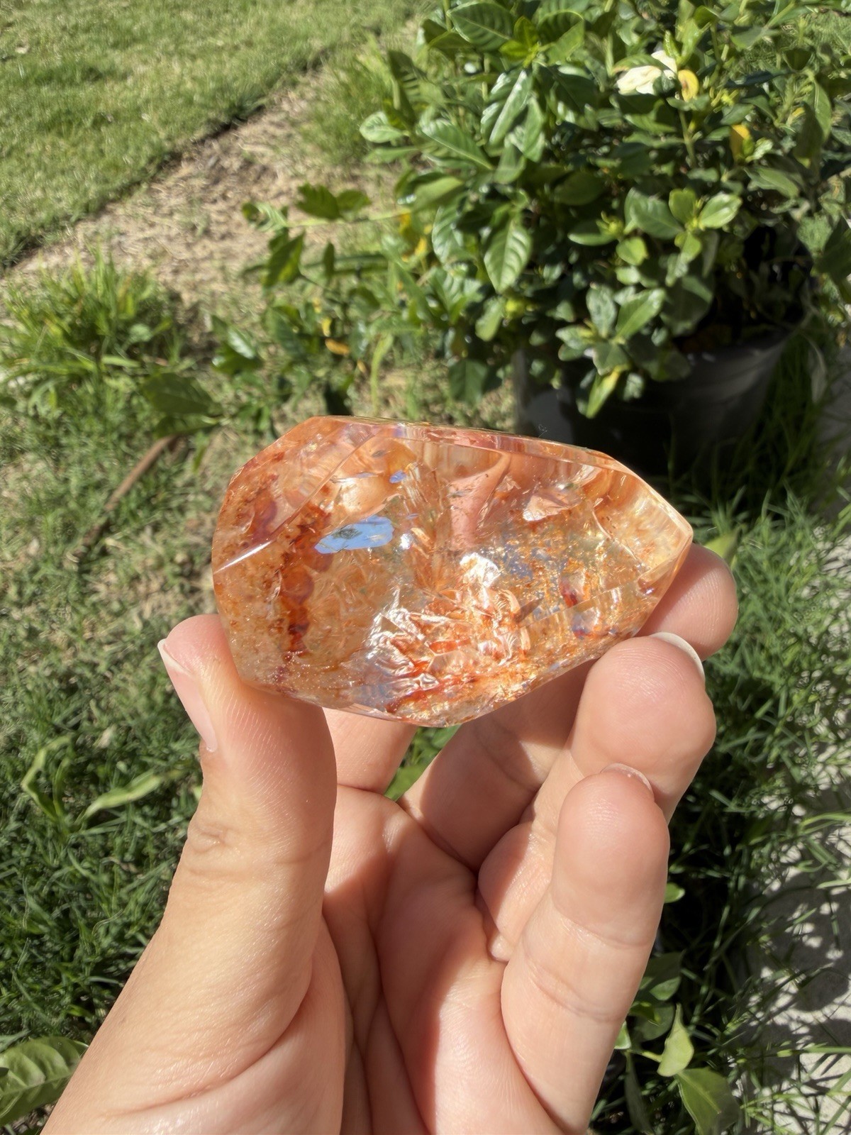 Hematite Quartz Crystal | Orange Flower Inclusions Rainbow Flash, A334