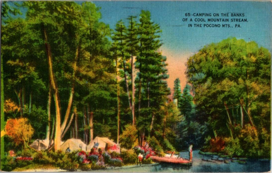 Poconos – Scranton & East Stroudsburg PA : CAMPGROUND SCENE j/27 BG8033