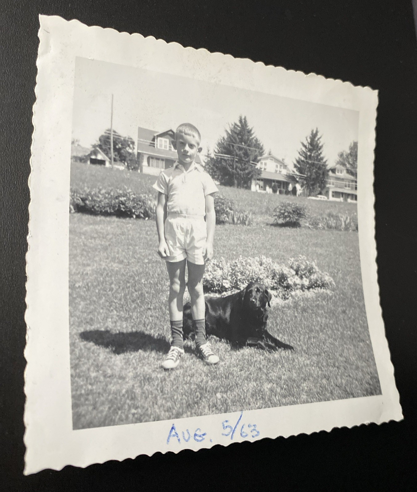 1963 Young Boy & Black Labrador Retriever Dog Flower Homes Original Photo P18m13