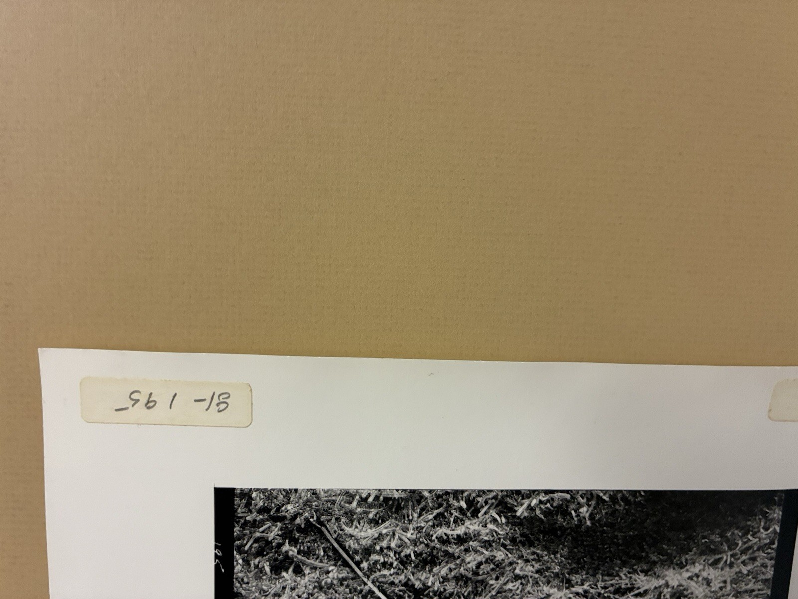Oliver Gagliani Signed Proof Photograph – Untitled (Icy Grass)